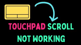 How to Fix Touchpad Scroll Not Working in Windows 11 [upl. by Einattirb613]