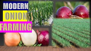 Growing halved onion  time lapse greentimelapse gtl timelapse [upl. by Wanda]