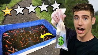 CHEAPEST AQUARIUM FISH SELLER ON THE STREET unbelievable find [upl. by Ladnek]