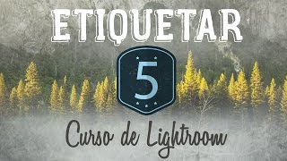 Curso de Lightroom CC  5   Etiquetar con banderas estrellas y colores [upl. by Ryter533]