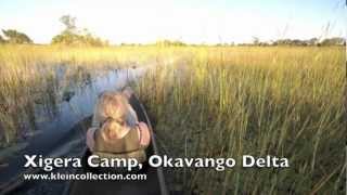 African Safari Review  Xigera Camp Wilderness Safaris [upl. by Reilamag]