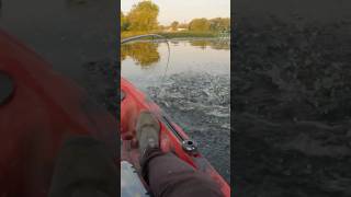 Pike Attack shorts fishing agressive pike angling kayakfishing exciting viral fish blowup [upl. by Wittie]