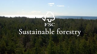 Sustainable wood  Craftmanship with forestry certification [upl. by Oiratno802]