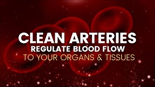 Clean Arteries  Regulate Blood Flow to Your Organs and Tissues  Remove Plaque from Arteries741Hz [upl. by Ahsilahk]