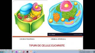 Celula  Membrana celulara [upl. by Barker]