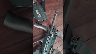 Steyr Aug in 300 Blk and my Rost Martin incredible combo [upl. by Katleen]