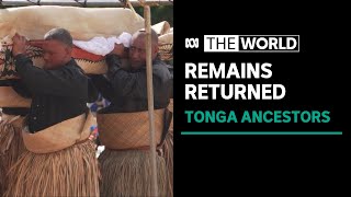 Remains of ancestors returned to Tonga  The World [upl. by Annerb]