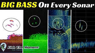 Pros DO NOT Want Me Sharing This Fish Finder Secret  Down Imaging Side Imaging 2D Live Sonar [upl. by Iroc307]