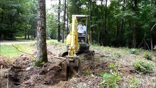 Mini excavator tree clearing [upl. by Anib694]