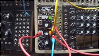 Makes Noise Richter Wogglebug  The beating heart of my modular system [upl. by Macdonell994]