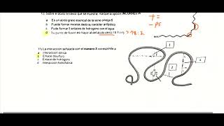 Bases Biomoleculares I  Parcial Prototipo B Resolución de estudiante [upl. by Oderfodog]