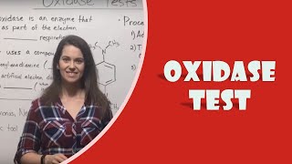 Oxidase Test [upl. by Hartman890]