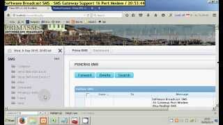 05 Kirim 1000 SMS Dari Import Data Excel  Software SMS PrimaSMSmp4mp4 [upl. by Abbotsen]