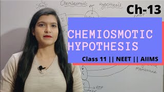 Ch13 Photosynthesis L04 Chemiosmotic Hypothesis  Class 11  NEET  AIIMS [upl. by Adnowat]