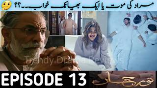 Noor Jahan Episode 13 Promo  Teaser  Murad Ki Mout Ya Aik Bayank Khwab  Noor Jahan Epi 12 Review [upl. by Ehcropal]