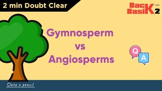 Angiosperms Vs Gymnosperms  Quick 2 min Comparison  Basic Concept  Slate and Pencil [upl. by Yatnwahs]