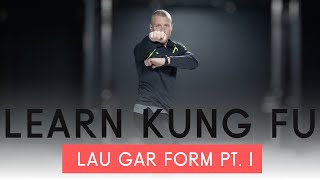 LEARN LAU GAR KUNG FU  Hung Gar [upl. by Rolyak]