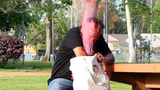 INSANE BAIT PURSE PRANK Part 2 [upl. by Dyol]