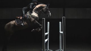 HampM Life  Sports Studio Horse Jumping with Malin Baryard [upl. by Nylynnej882]