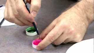 How To Paint Embossed Designs  Global Sugar Art [upl. by Lynelle]