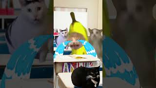 Banana Cat Turned into Emoji😹🍌 [upl. by Bunch]