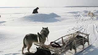 Счастливые люди  Енисей  Зима серия 4  Дмитрий Васюков [upl. by Enneire802]