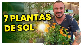 7 plantas para cultivar no sol  Conheça e aprenda como cuidar [upl. by Yaras]