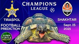 Sheriff Tiraspol vs Shakhtar Donetsk ⚽ UEFA Champions League 202122 🐢 Turtle Football Predictions [upl. by Stclair]