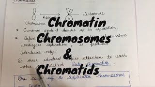 What is the difference between Chromatin chromosomes and chromatids [upl. by Anyaled]