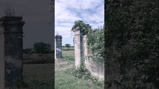 Villa Veneta abbandonata Fossalta di Portogruaro urbex abbandonata shorts [upl. by Tak]