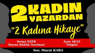 quotBoynu Bükük Nerimanquot quotNilgünquot Türk Edebiyatından Hikayeler  Sesli Kitap Dinle [upl. by Ross]