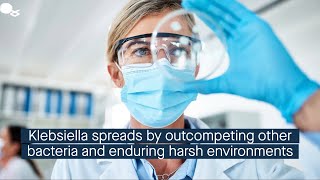 Outcompeting other bacterial species and surviving harsh conditions promotes Klebsiella transmis [upl. by Iror]