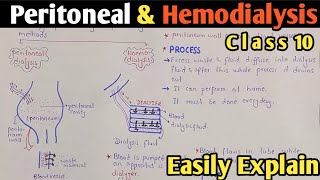 Dialysis  Peritoneal And Hemodialysis  Class 10 Biology [upl. by Nilcaj640]