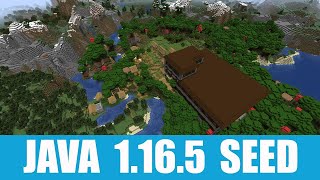 Minecraft Java 1165 Seed Woodland mansion village with two blacksmiths stand together near spawn [upl. by Irved848]