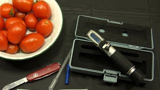 Check Your Growing Plants Fruits and Vegetables With a Handheld Degrees Brix Refractometer [upl. by Attiuqaj678]