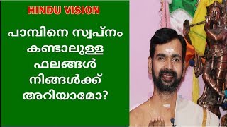 നാഗം കൊത്തുന്നതായി സ്വപ്നം കണ്ടാലുള്ള ഫലം അറിയാമോ  snake in your dream [upl. by Ahsea]