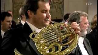 Brahmss 2nd Symphony 2nd Mov First Horn Solo [upl. by Walker148]