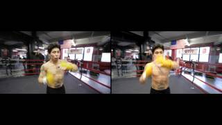 Nikon D800 vs Canon 5D mkIII boxing test [upl. by Longawa]