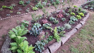 Finally completed this massive perennial bed in my GA zone 8a garden Third times the charm [upl. by Ynittirb]