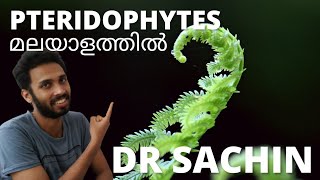 pteridophytes  plant kingdom  malayalam  pteridophytes class 11 plus one  NEET [upl. by Anitsim467]