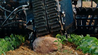 Autonomous rock picker picks up to 600 rocks per hour  2024 Iowa Ag Expo [upl. by Jessalyn]