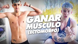 ‼️ECTOMORFOS‼️ RUTINA y CONSEJOS PARA GANAR MASA MUSCULAR [upl. by Ahcilef]