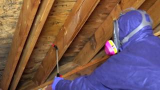 MoldX2 Kills Mold in Crawl Spaces and Attics amp Helps Prevent Future Growth [upl. by Letsirk144]