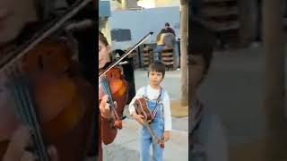 I Want To Break Free  Queen  Karolina Protsenko  Violin Cover shorts short karolina [upl. by Edbert426]