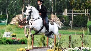 Working Equitation a Fun Way to Train Seriously  Pedro Neves clinic [upl. by Gautea]