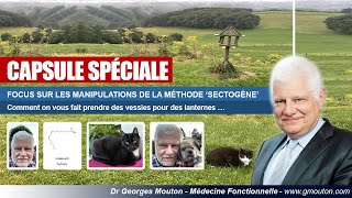 FOCUS SUR LES MANIPULATIONS DE LA MÉTHODE SECTOGÈNE [upl. by Harriet]