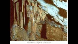 La grotte COSQUER [upl. by Ymia]