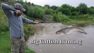 How to Shoot Fish with a Slingshot  catapult fishing  Fishing in Pakistan [upl. by Staten]