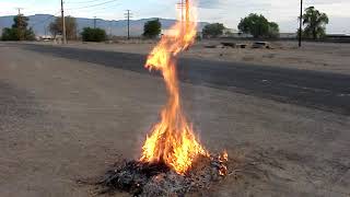 Why Tumbleweeds Are Dangerous [upl. by Ranit]