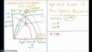 Easy Ways to Understand Cardiac and Vascular Function Curves [upl. by Akila747]